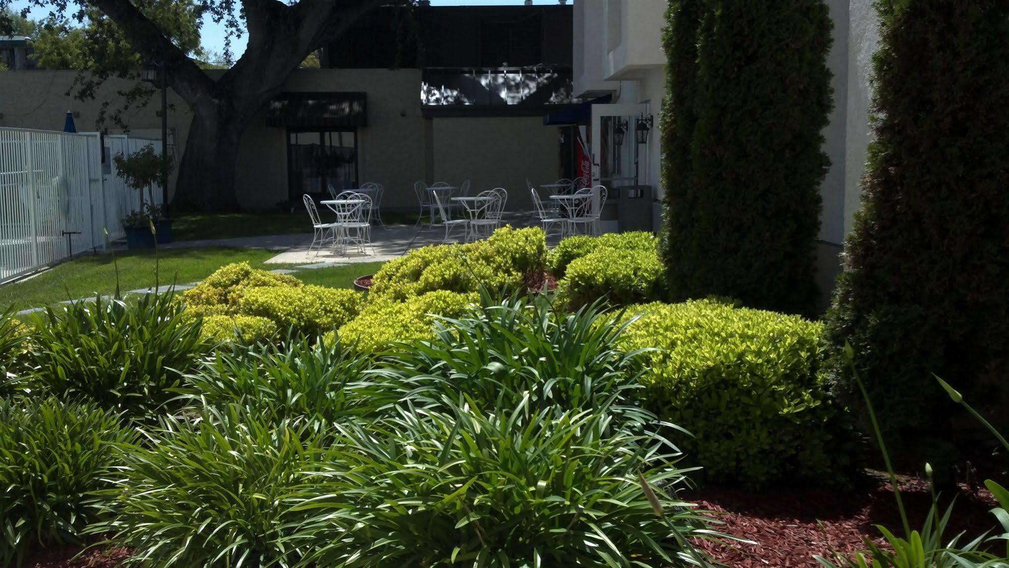 The Hotel Aria - Mountain View Extérieur photo